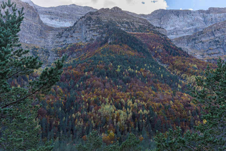 Huesca - parque nacional de Ordesa y Monte Perdido - valle de Pineta 29.jpg